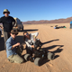 Illustration for article titled This Awesome Camera Setup Captured Incredible High-Def Footage Of A Cheetah Sprinting